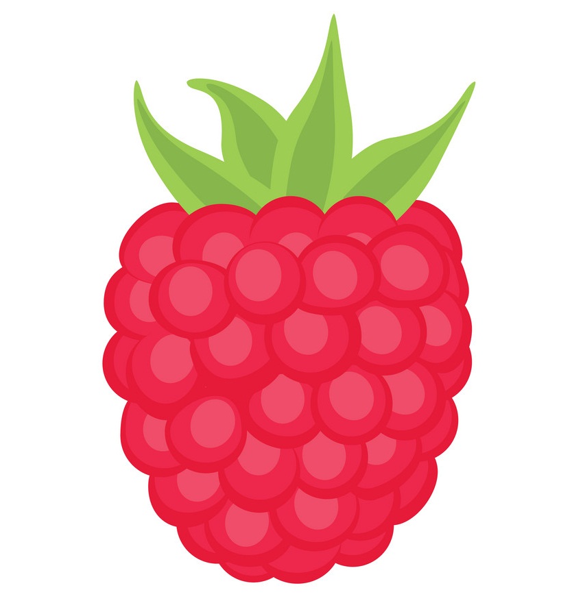 Raspberry Clipart - KibrisPDR