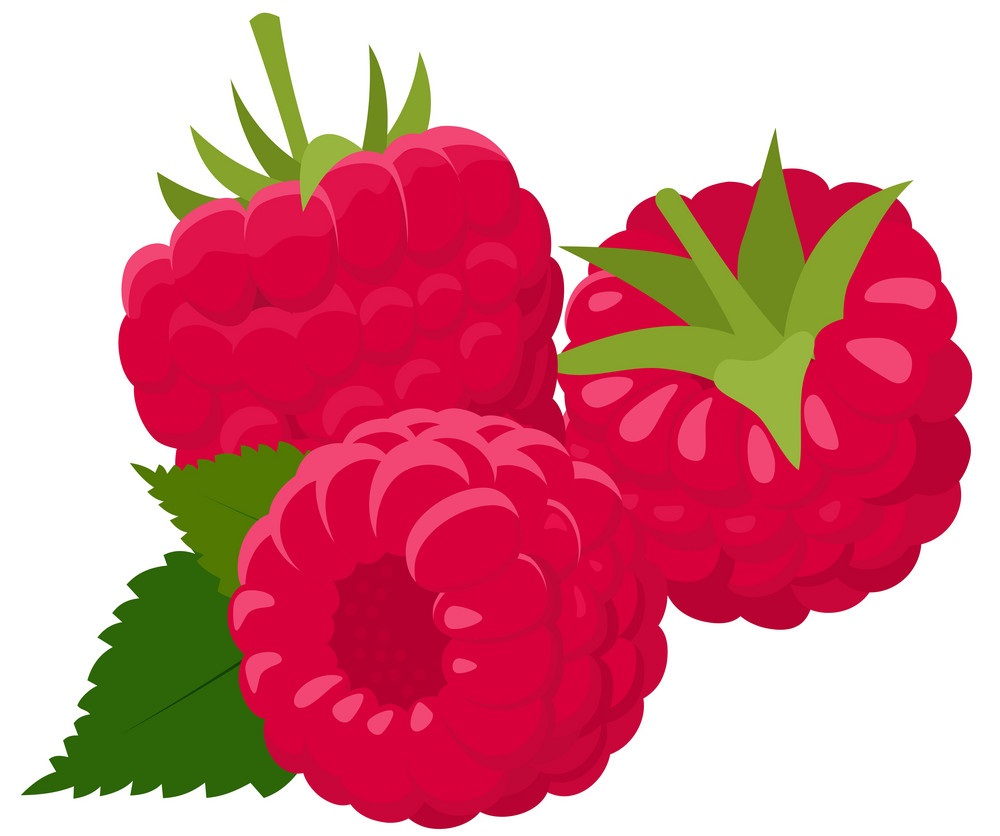 Detail Raspberry Clipart Nomer 2