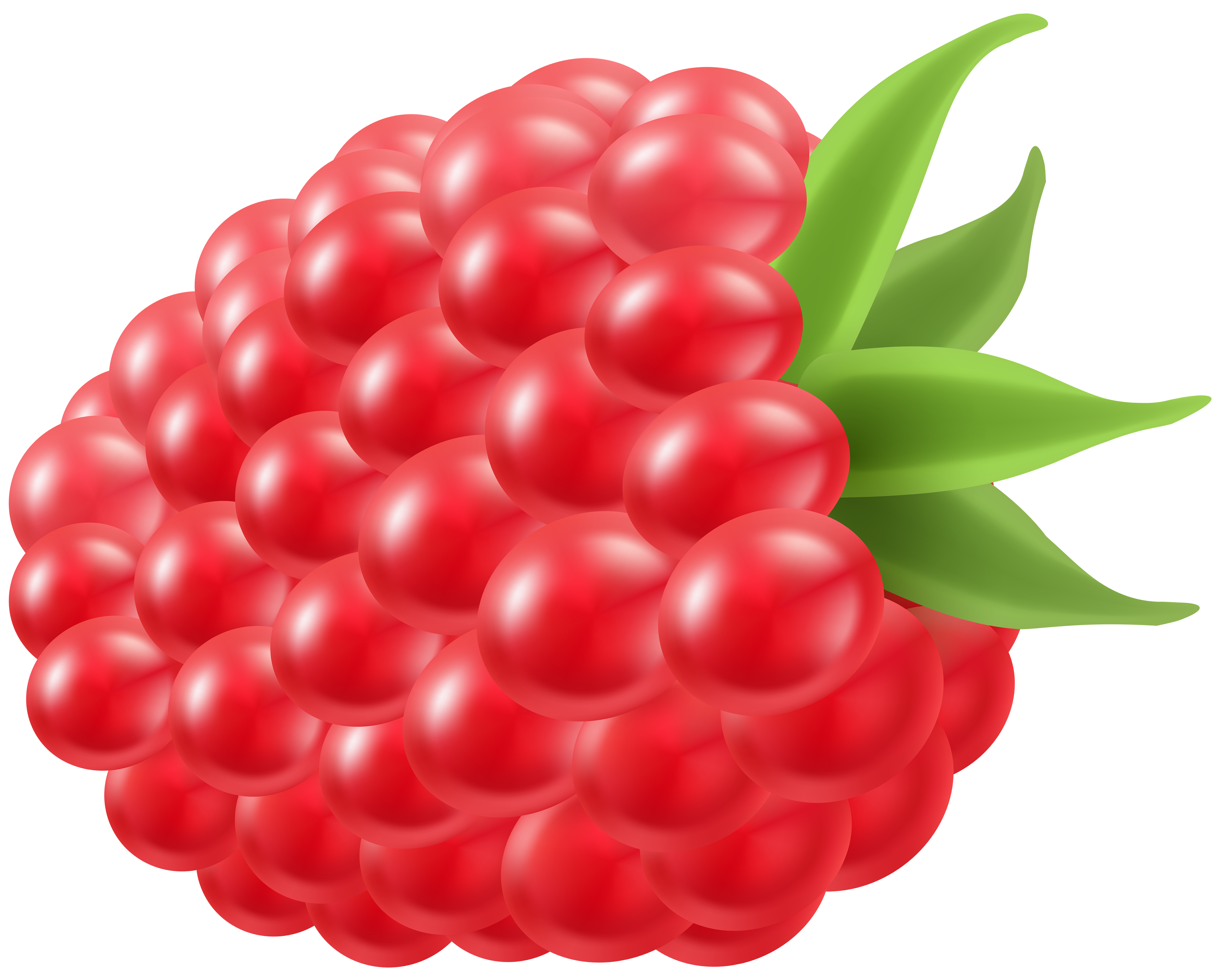 Detail Raspberry Clipart Nomer 8