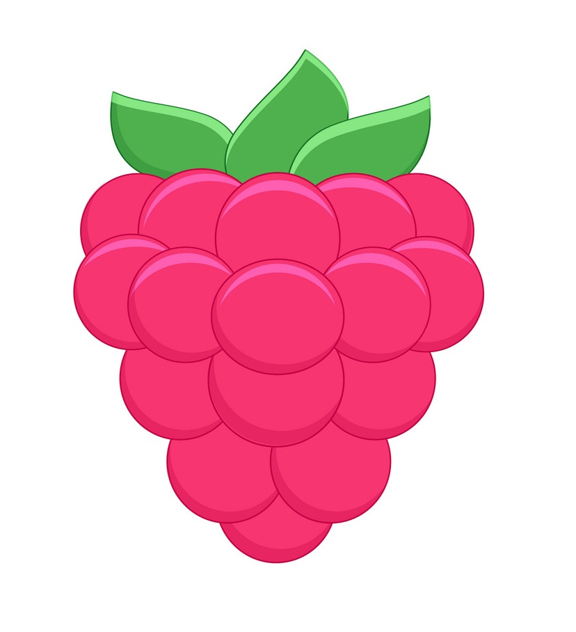 Detail Raspberry Clipart Nomer 9