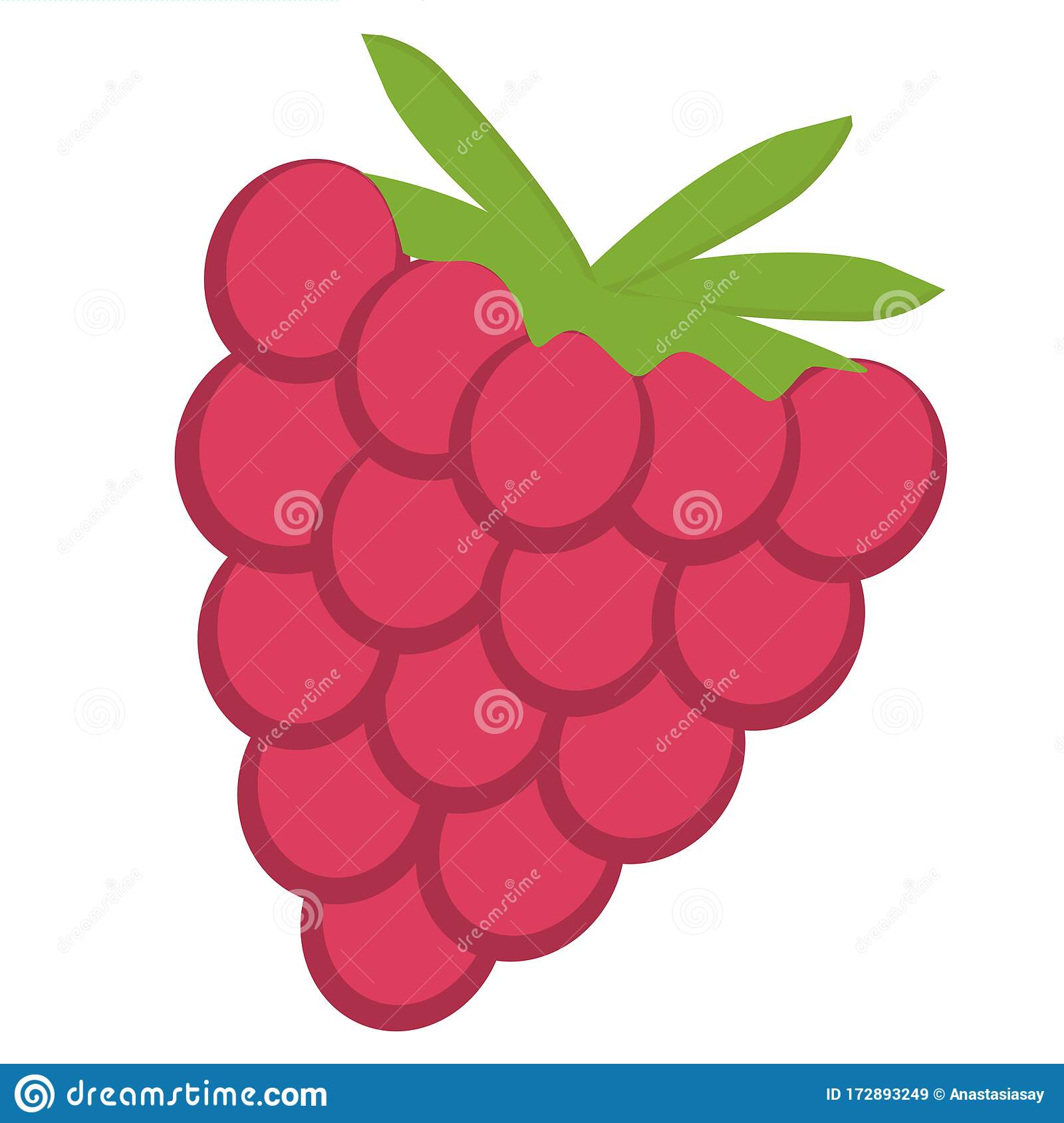 Detail Raspberry Clipart Nomer 10