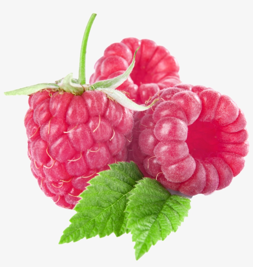 Detail Raspberry Clipart Nomer 11