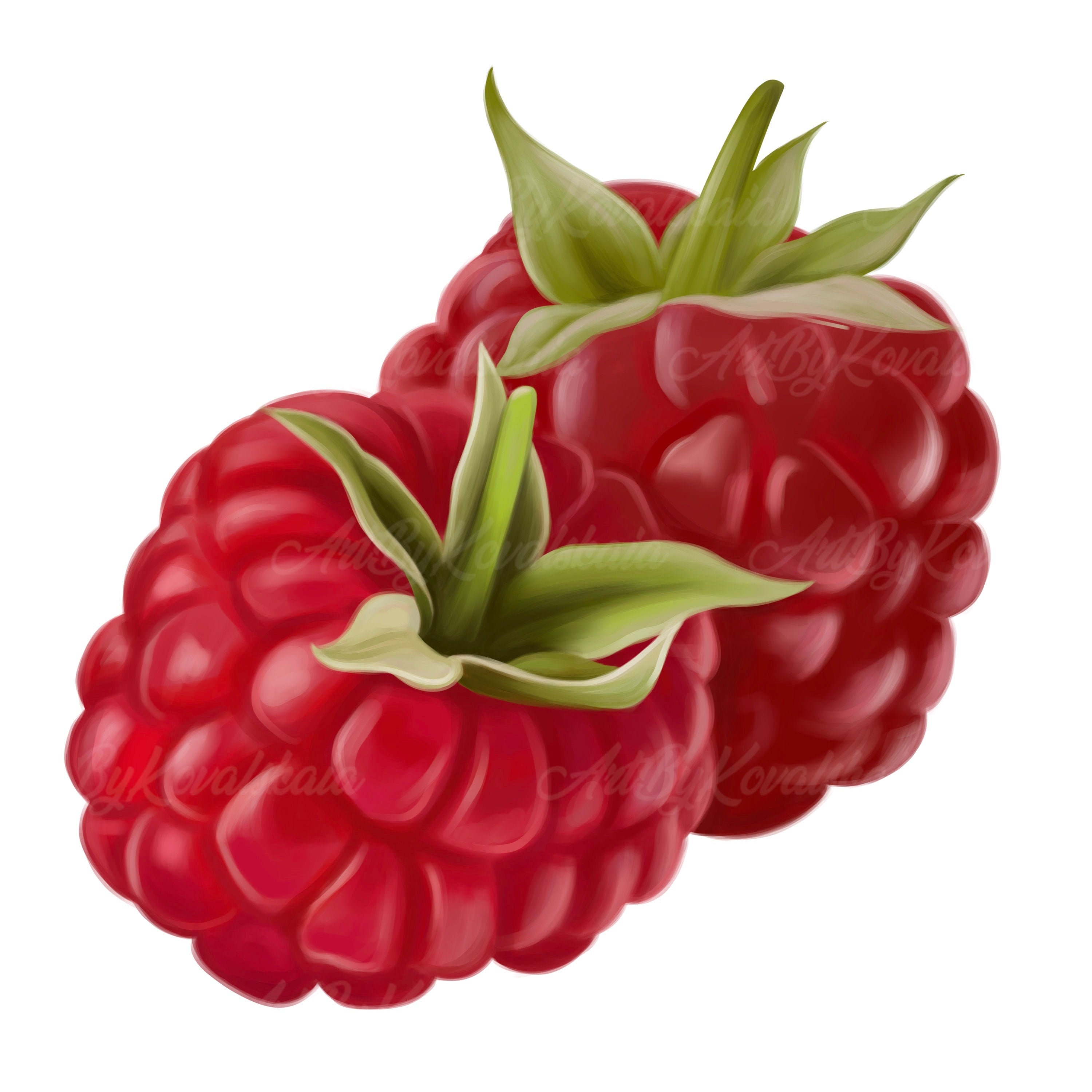 Detail Raspberry Clipart Nomer 12