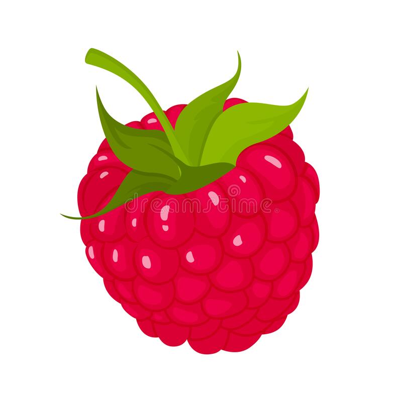 Detail Raspberry Clipart Nomer 15