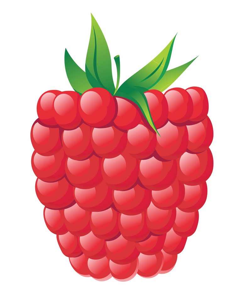 Detail Raspberry Clipart Nomer 16