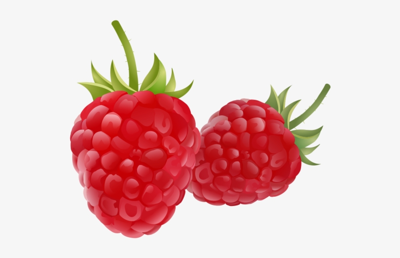 Detail Raspberry Clipart Nomer 19