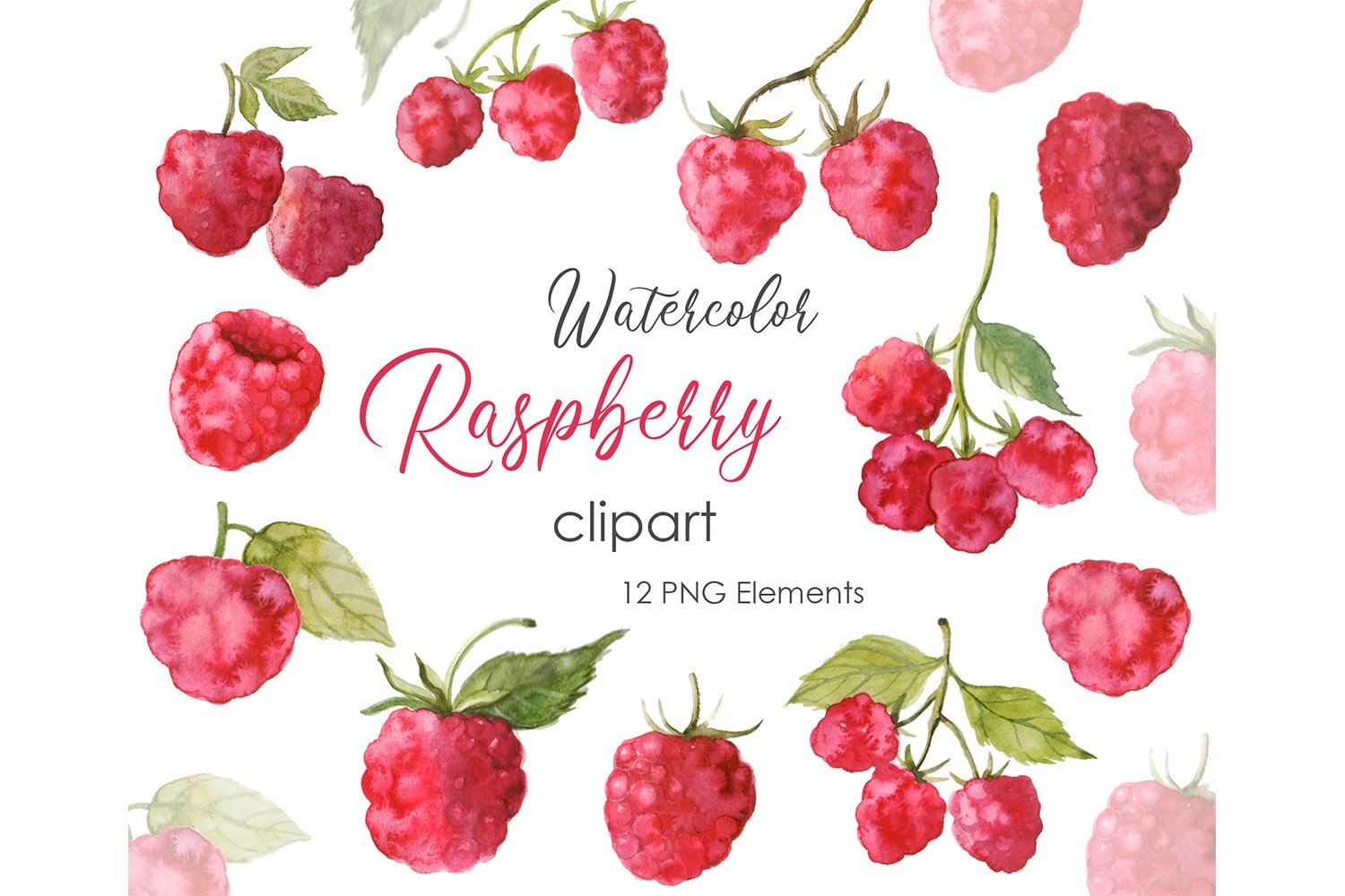 Detail Raspberry Clipart Nomer 20