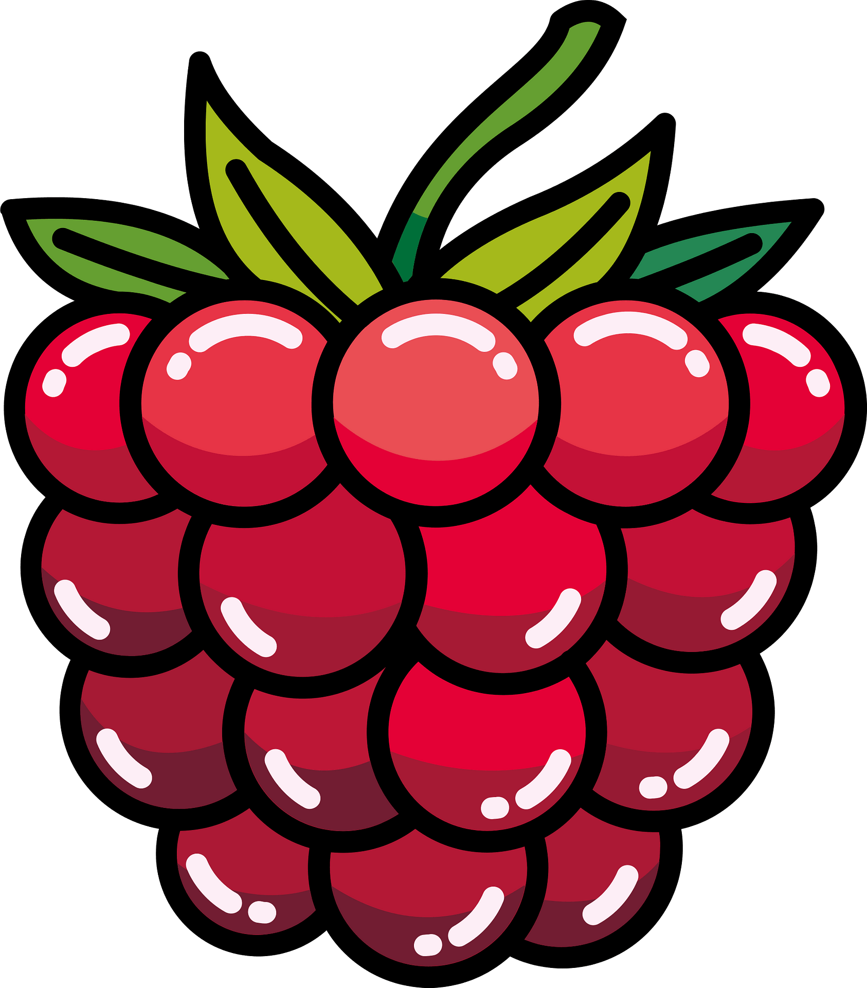 Detail Raspberry Clipart Nomer 22