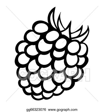 Detail Raspberry Clipart Nomer 23