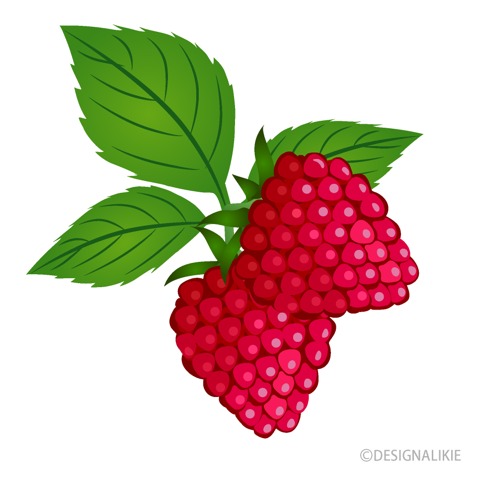 Detail Raspberry Clipart Nomer 24