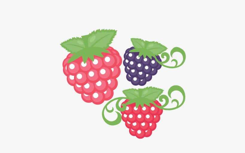 Detail Raspberry Clipart Nomer 26