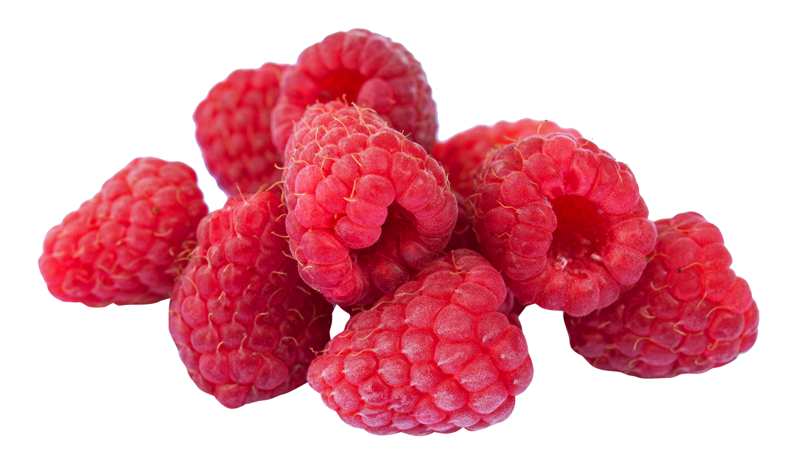 Detail Raspberry Clipart Nomer 28
