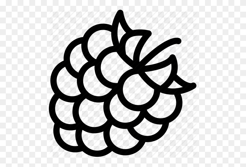 Detail Raspberry Clipart Nomer 29