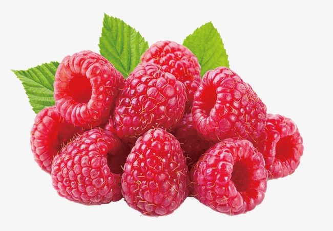 Detail Raspberry Clipart Nomer 31