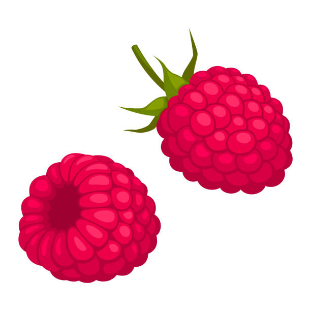 Detail Raspberry Clipart Nomer 32