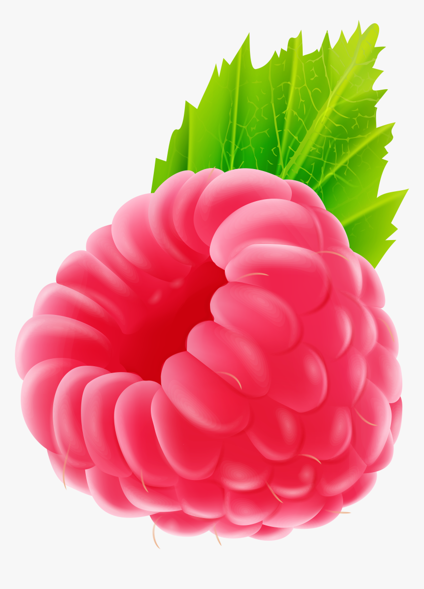 Detail Raspberry Clipart Nomer 33