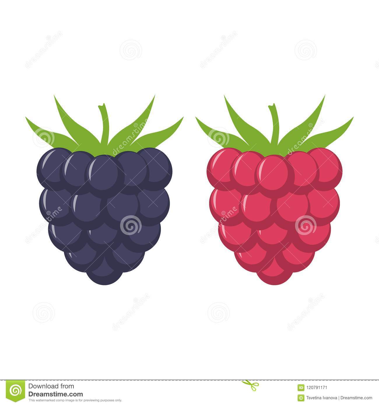 Detail Raspberry Clipart Nomer 4