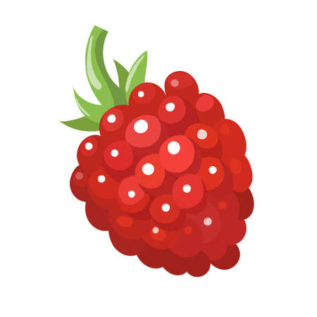 Detail Raspberry Clipart Nomer 38