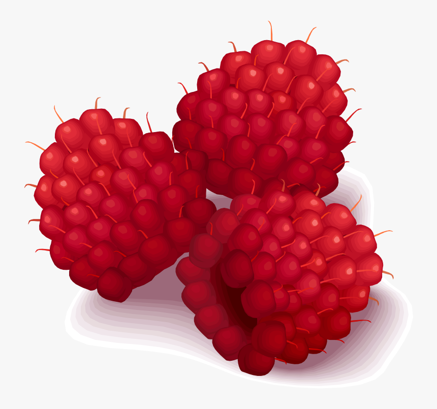 Detail Raspberry Clipart Nomer 40