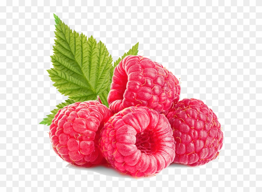 Detail Raspberry Clipart Nomer 42