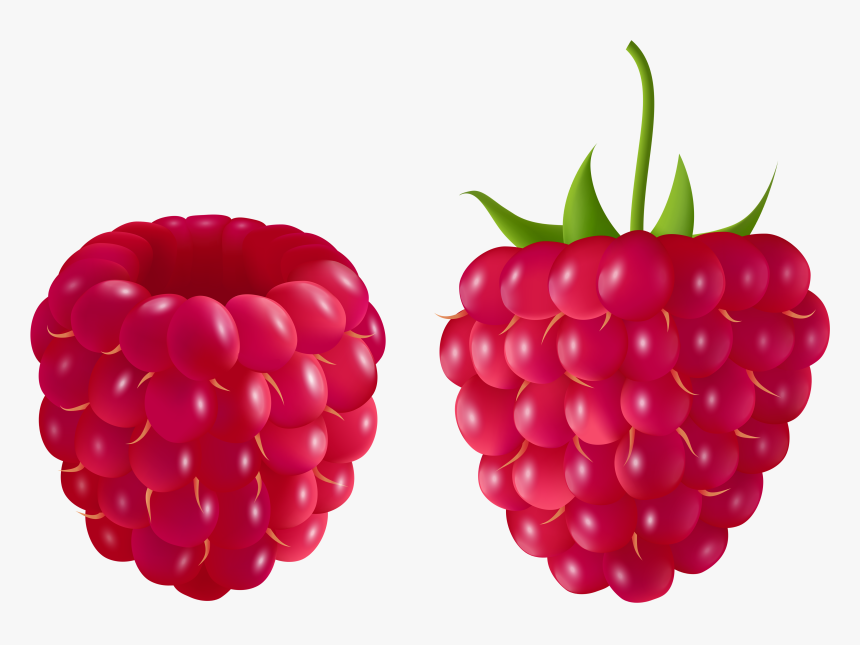 Detail Raspberry Clipart Nomer 44