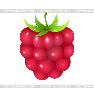 Detail Raspberry Clipart Nomer 47