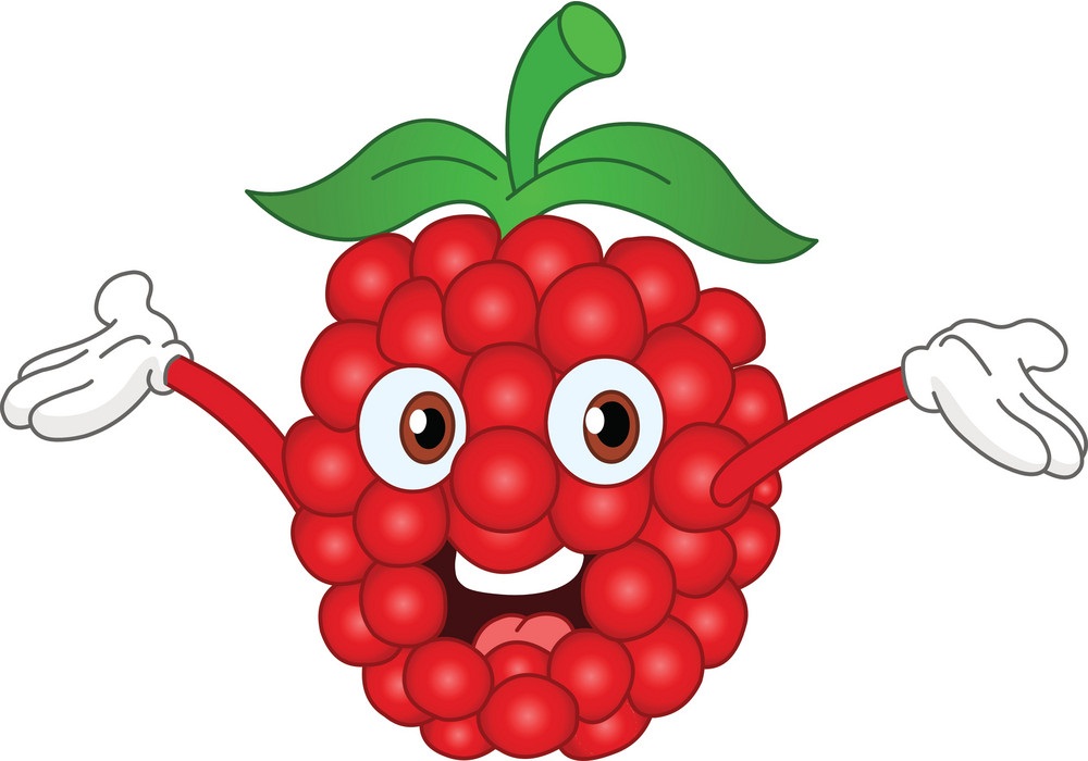 Detail Raspberry Clipart Nomer 50