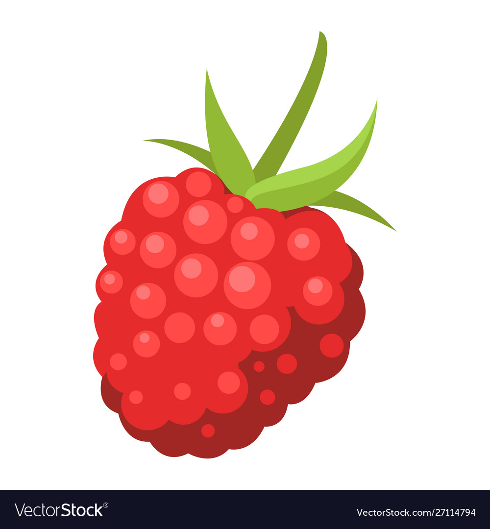 Detail Raspberry Clipart Nomer 51