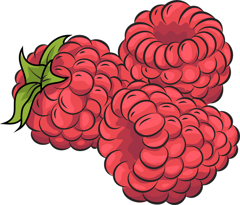 Detail Raspberry Clipart Nomer 6