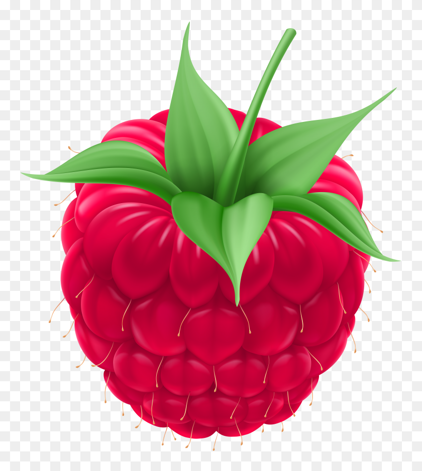 Detail Raspberry Clipart Nomer 7