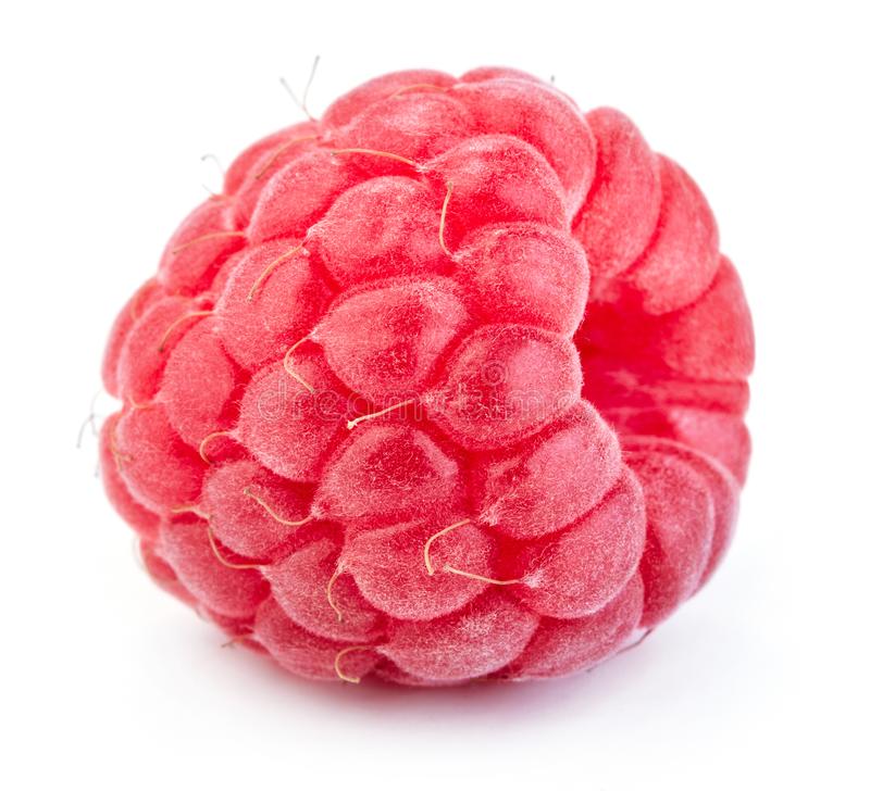 Detail Raspberry Fruit Images Nomer 15