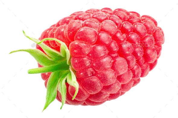 Detail Raspberry Fruit Images Nomer 17