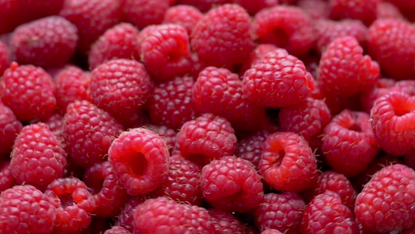 Detail Raspberry Fruit Images Nomer 18