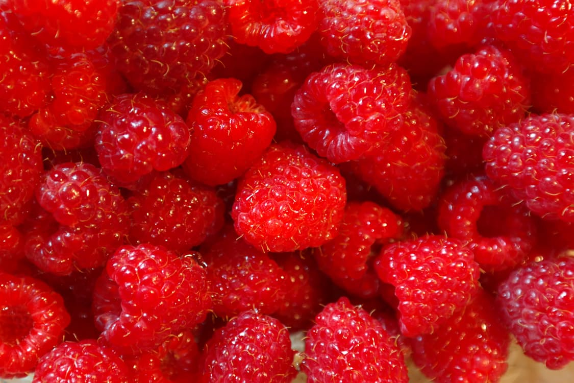 Detail Raspberry Fruit Images Nomer 50