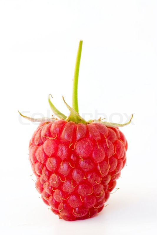 Detail Raspberry Fruit Picture Nomer 19