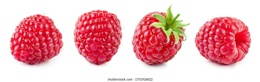 Detail Raspberry Images Nomer 10