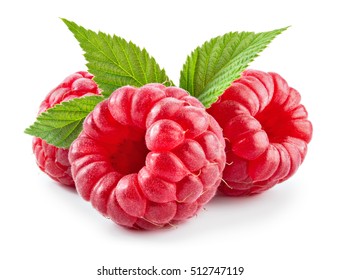 Detail Raspberry Images Nomer 13