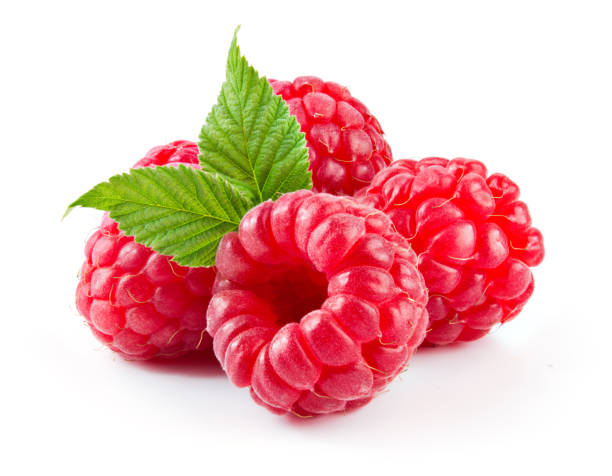 Detail Raspberry Images Nomer 14