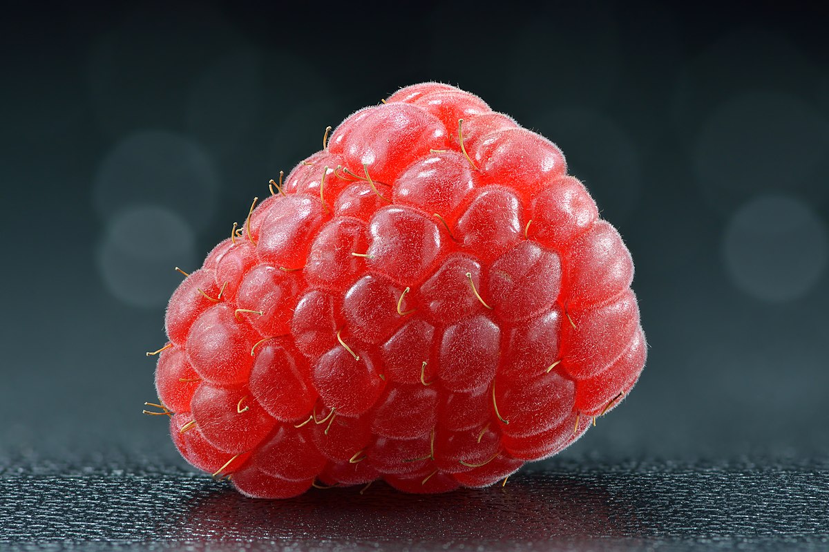 Detail Raspberry Images Nomer 17