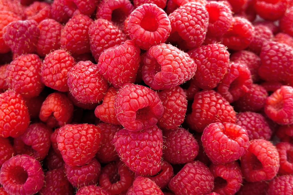 Detail Raspberry Images Nomer 2