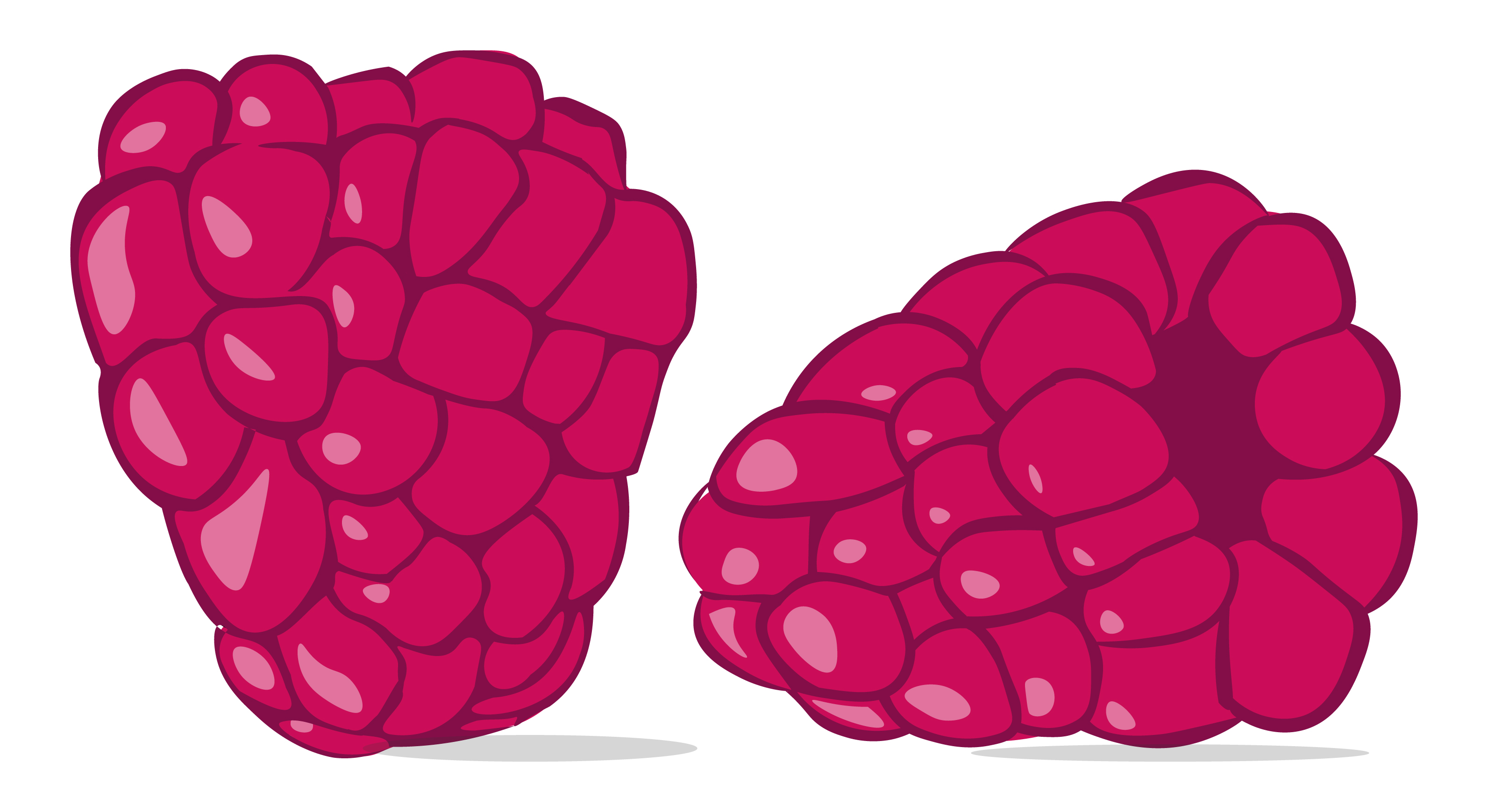 Detail Raspberry Images Nomer 21