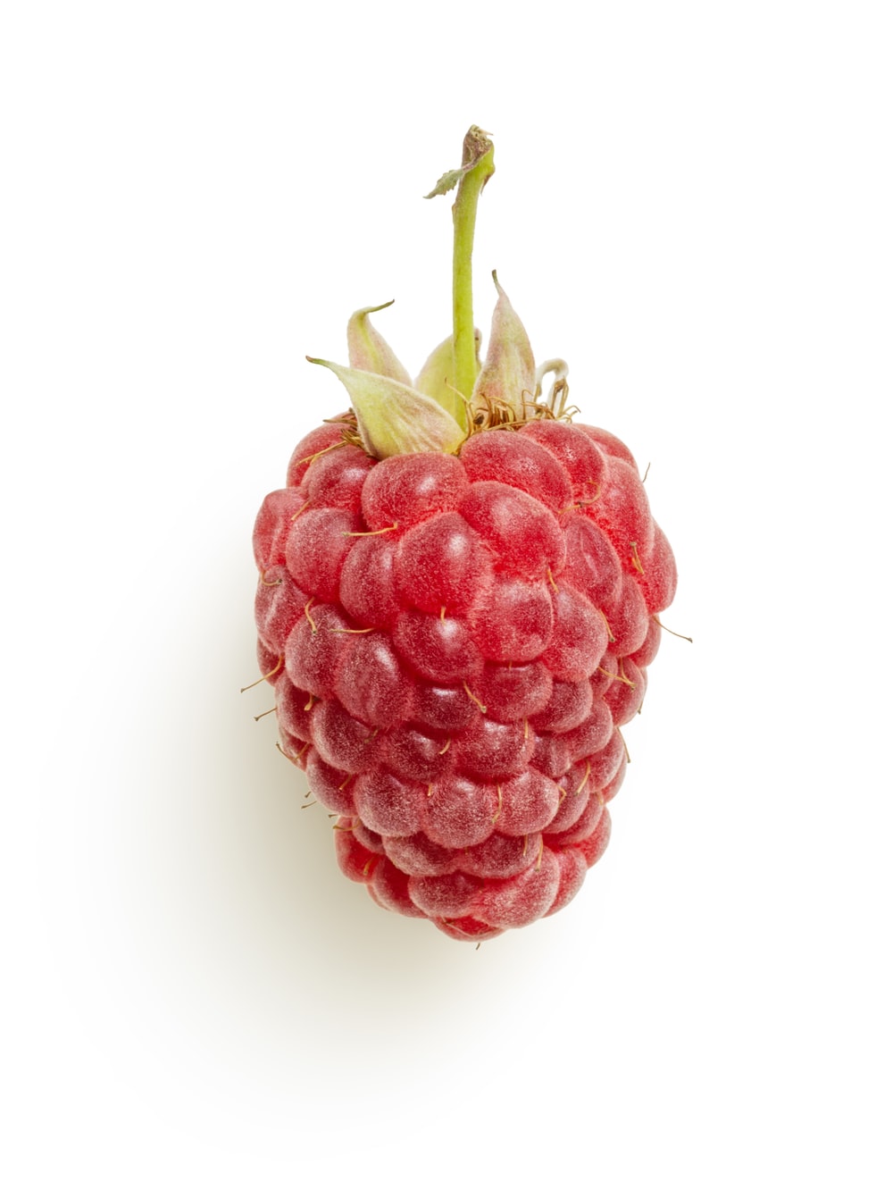 Detail Raspberry Images Nomer 22