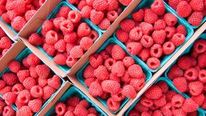 Detail Raspberry Images Nomer 31