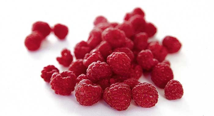 Detail Raspberry Images Nomer 35