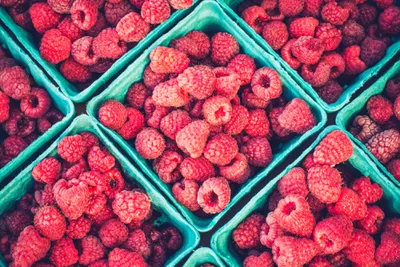 Detail Raspberry Images Nomer 37