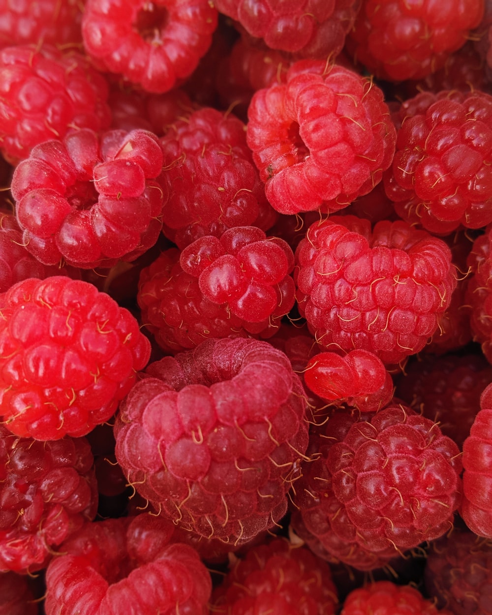 Detail Raspberry Images Nomer 7