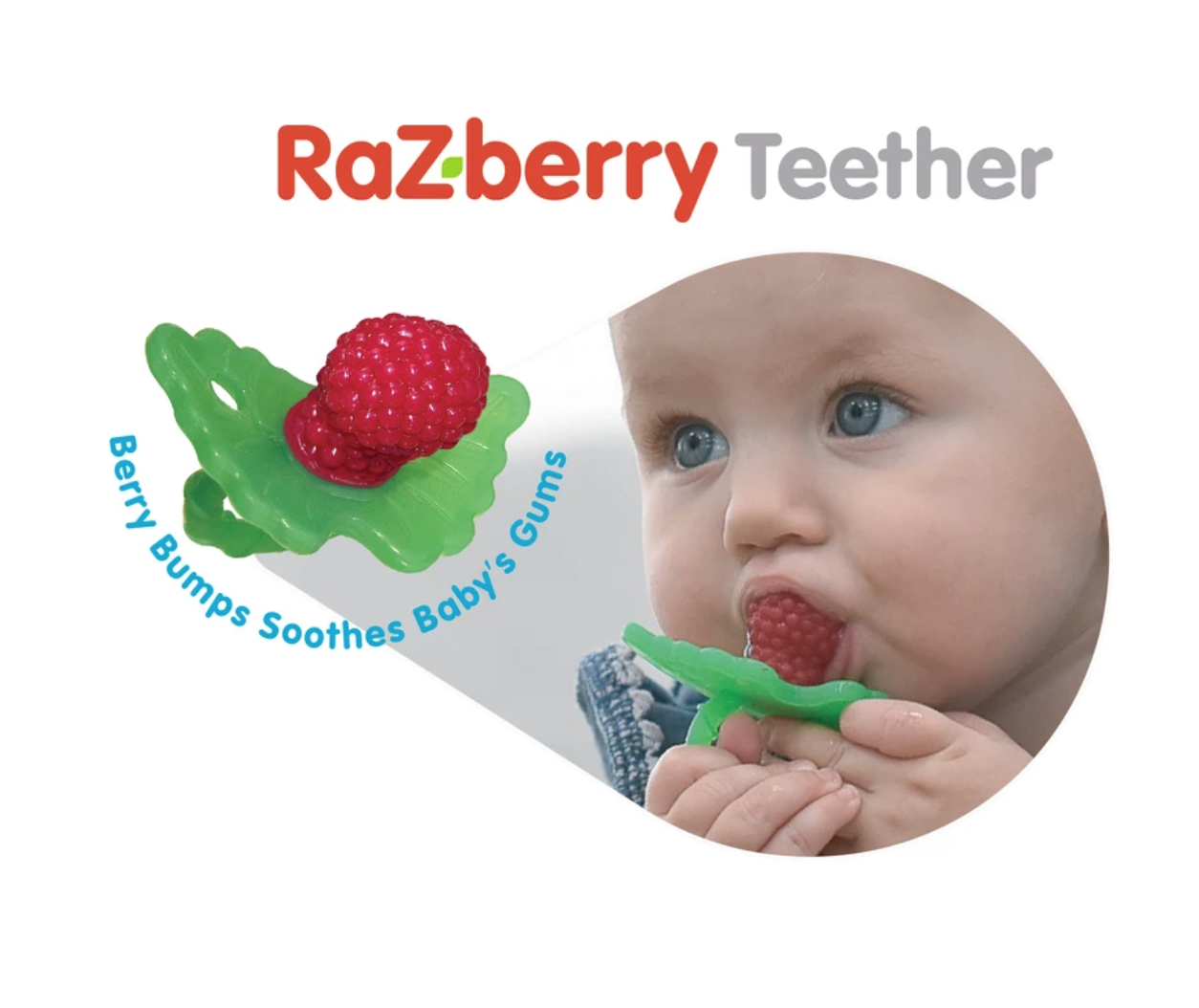 Detail Raspberry Pacifier Nomer 28