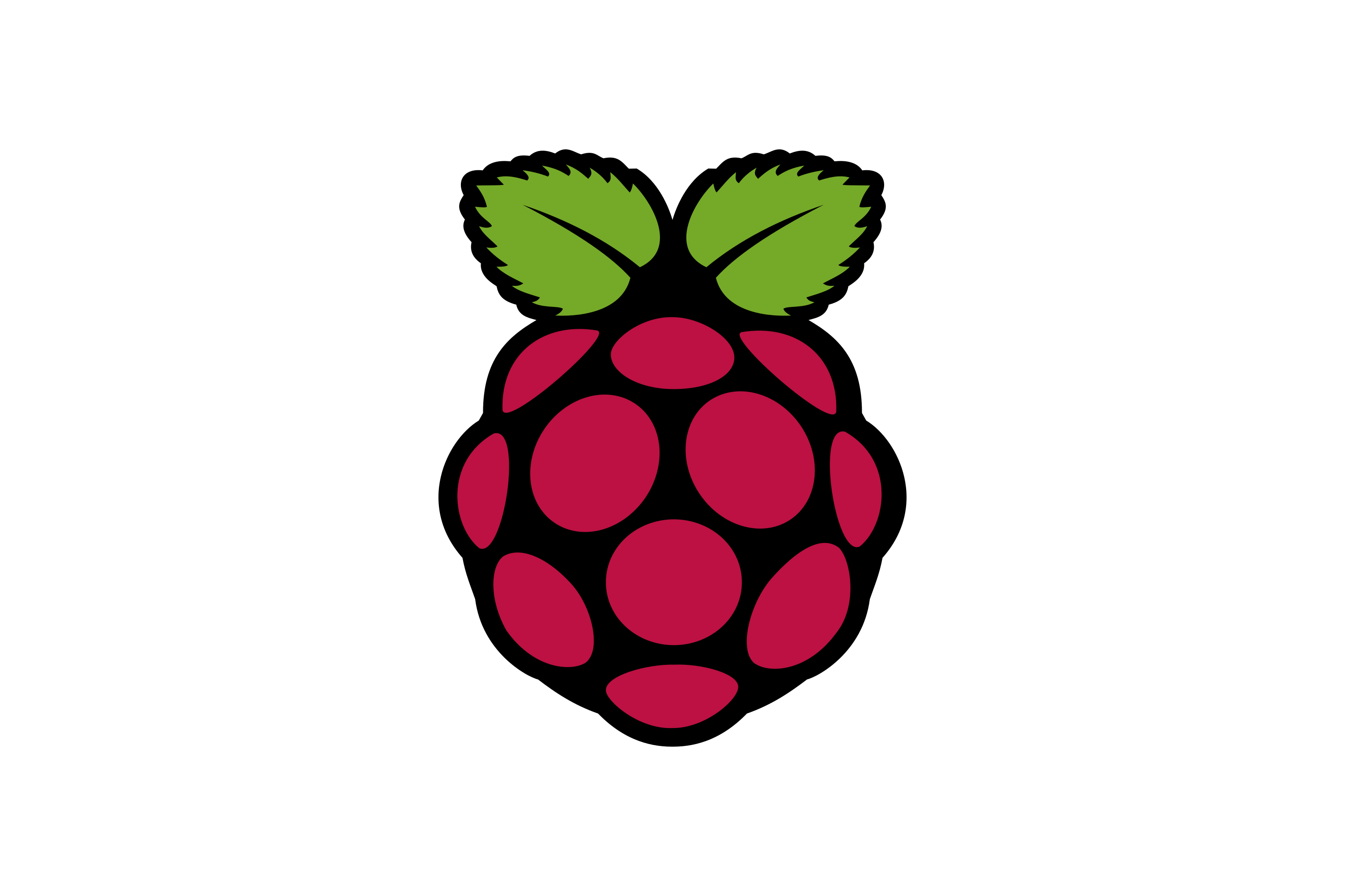 Detail Raspberry Pi Png Nomer 10
