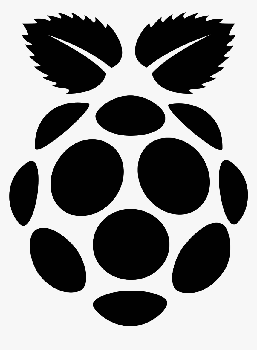 Detail Raspberry Pi Png Nomer 27