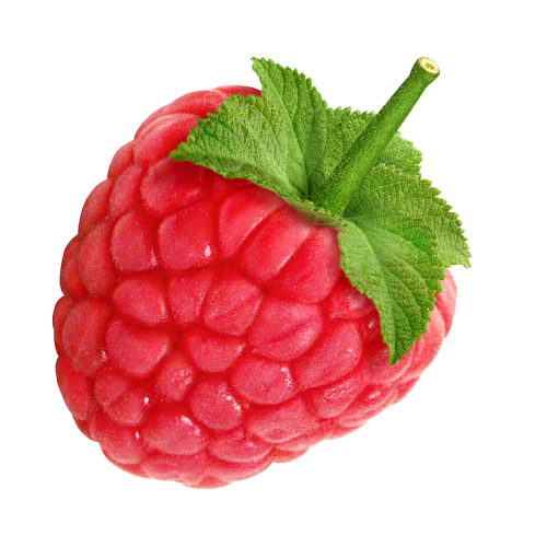 Detail Raspberry Png Nomer 12